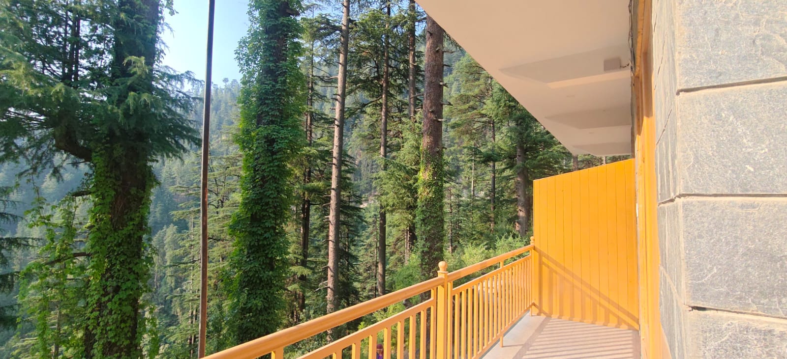 About Thakur Home Stay